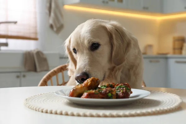 Χαριτωμένο Σκυλί Προσπαθεί Κλέψει Τηγανητό Κρέας Από Τραπέζι Στην Κουζίνα — Φωτογραφία Αρχείου