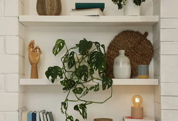 Beautiful Green Plant Different Decor Shelves Indoors Interior Design — стоковое фото