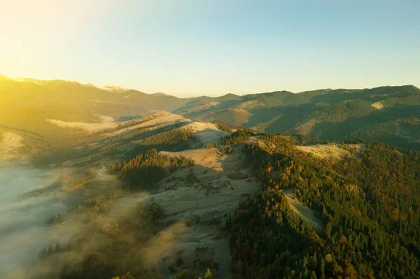 Krásná Krajina Lesem Horách Slunečného Dne Fotografie Dronů — Stock fotografie