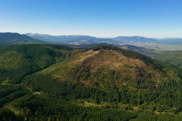 Piękne Góry Pokryte Lasem Słoneczny Dzień Zdjęcia Dronów — Zdjęcie stockowe