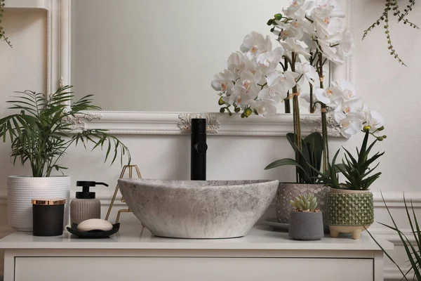 Stylish Sink Beautiful Houseplants Bathroom Interior Design — Stock Photo, Image