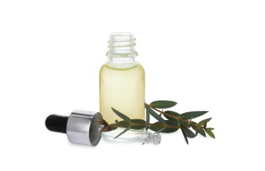 Beyaz arka planda bir şişe okaliptüs gerekli yağ ve bitki dalları