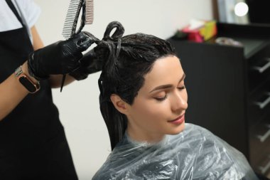 Profesyonel kuaför. Güzellik salonunda müşterinin saçını boyuyor.