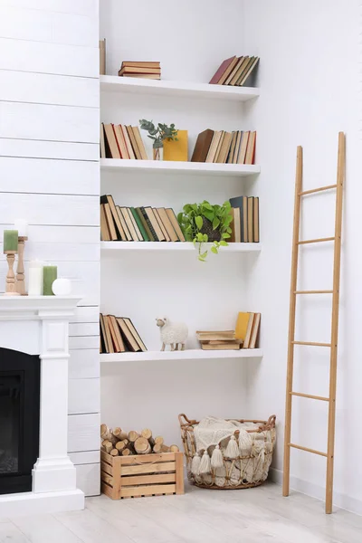 Collection Books Decor Elements Shelves Indoors Interior Design — Stock Photo, Image