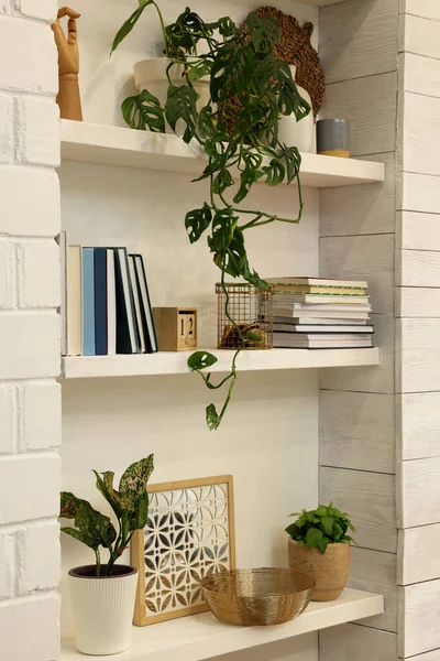 Hermosas Plantas Verdes Libros Estantes Interior Diseño Interiores —  Fotos de Stock