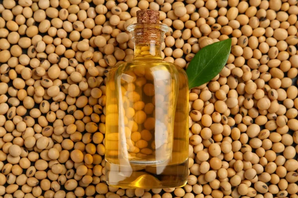 大豆に油と緑の葉のボトル トップビュー — ストック写真