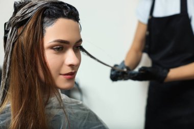 Profesyonel kuaför. Güzellik salonunda müşterinin saçını boyuyor.