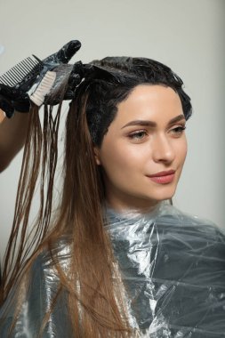 Profesyonel kuaför. Güzellik salonunda müşterinin saçını boyuyor.