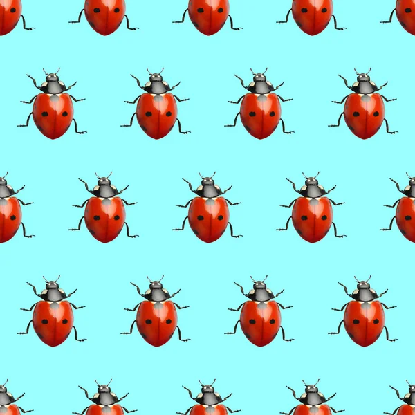 Many Red Ladybugs Turquoise Background Flat Lay — Stok fotoğraf