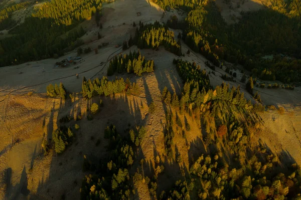 Piękny Krajobraz Lasem Górach Słoneczny Dzień Zdjęcia Dronów — Zdjęcie stockowe