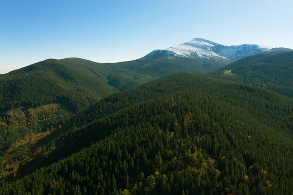 Hermosas Montañas Cubiertas Bosque Día Soleado Fotografía Drones —  Fotos de Stock