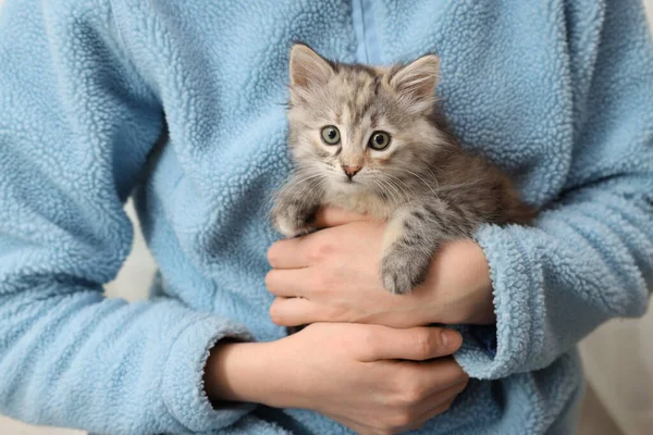 Woman Holding Cute Fluffy Kitten Closeup View — Stockfoto
