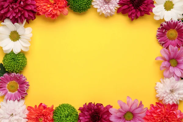 Frame Made Beautiful Chrysanthemum Flowers Yellow Background Flat Lay Space — Φωτογραφία Αρχείου
