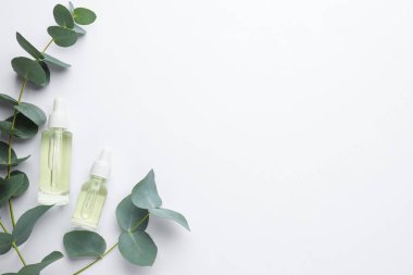 Bottles of eucalyptus essential oil and plant branches on white background, flat lay. Space for text