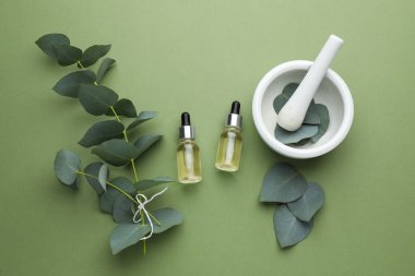 Flat lay composition with bottles of eucalyptus essential oil and plant branches on green background