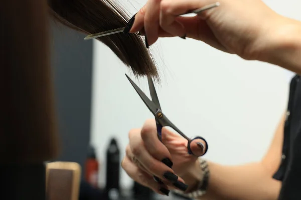 女性の髪を切断するプロの美容師 クローズアップビュー — ストック写真