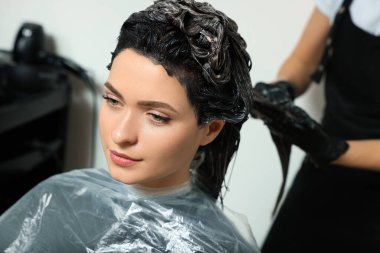 Profesyonel kuaför. Güzellik salonunda müşterinin saçını boyuyor.