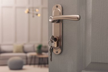 Odada anahtarı olan açık kapının yakın görüntüsü