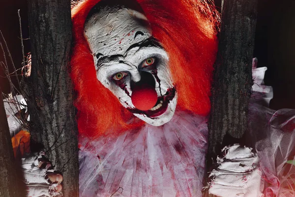 Terrifiant Clown Cachant Derrière Les Arbres Extérieur Nuit Gros Plan — Photo