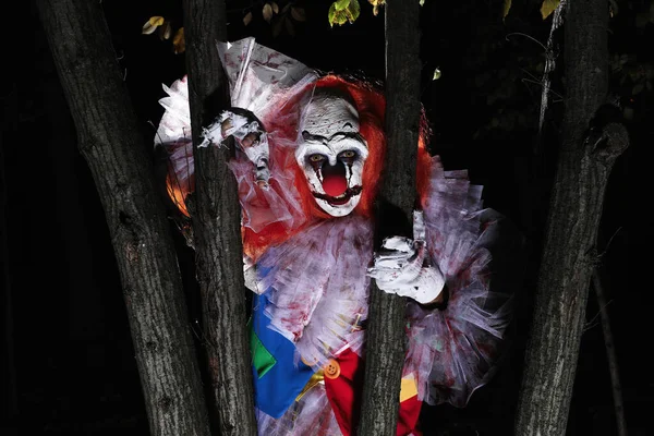 Schrecklicher Clown Der Sich Nachts Freien Hinter Bäumen Versteckt Halloween — Stockfoto