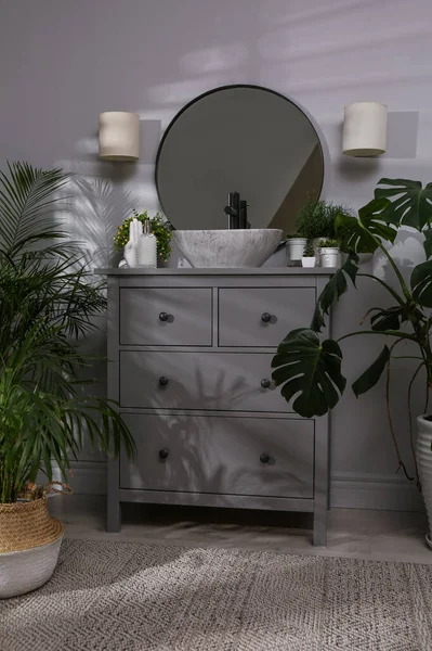 Elegante Baño Interior Con Muebles Modernos Hermosas Plantas Interior Verdes — Foto de Stock