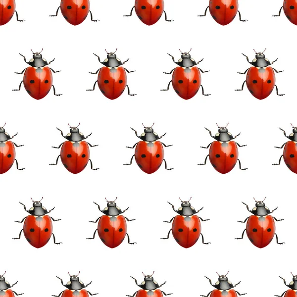 许多红色瓢虫在白色背景 顶部视图 — 图库照片