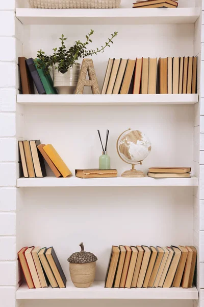 Collection Books Decor Elements Shelves Indoors — Stock Photo, Image