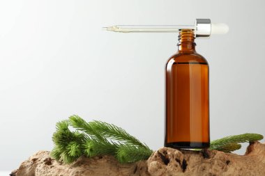 Beyaz arka planda bir şişe hidrofilik yağ ve köknar dalları, metin için boşluk