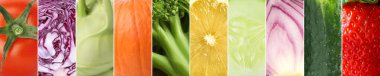 Farklı taze sebzelerle kolaj. Pankart tasarımı