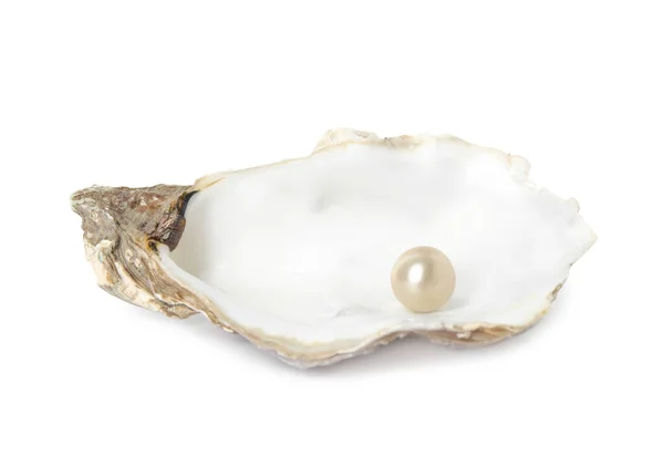 Oyster Powłoka Perłą Białym Tle — Zdjęcie stockowe