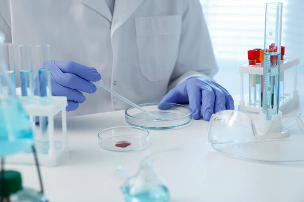 Scientist dripping sample into Petri dish in laboratory, closeup. Medical research