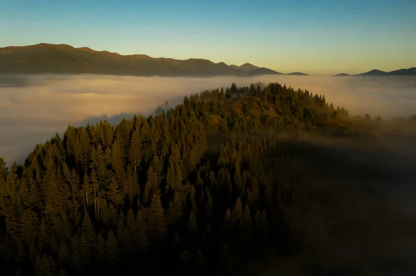 Bellissimo Paesaggio Con Fitta Nebbia Foresta Montagna Drone Fotografia — Foto Stock