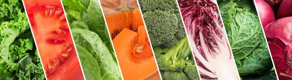 Kolaż Różnymi Dojrzałymi Warzywami Projekt Banera — Zdjęcie stockowe