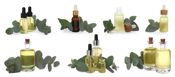 Set Mit Ätherischem Eukalyptusöl Auf Weißem Hintergrund Banner Design — Stockfoto