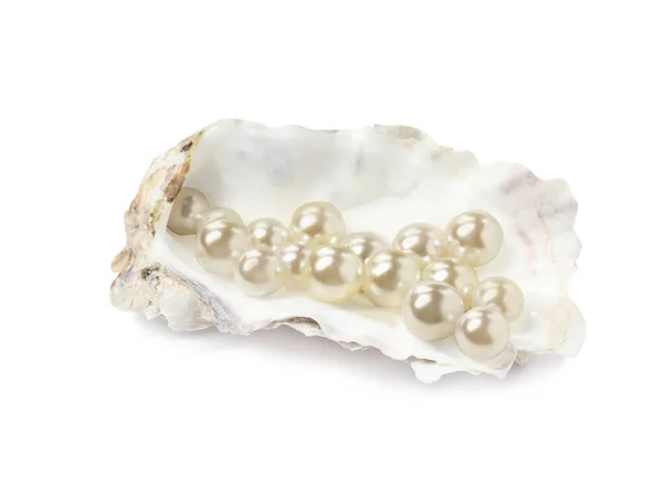 Oyster Shell Pearls White Background — Stock Photo, Image