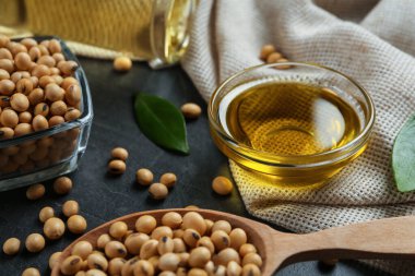 Gri masadaki soya yağı bileşimi