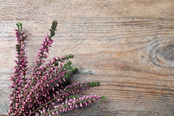 Heidekrautzweige Mit Schönen Blumen Auf Holztisch Flach Gelegt Raum Für — Stockfoto
