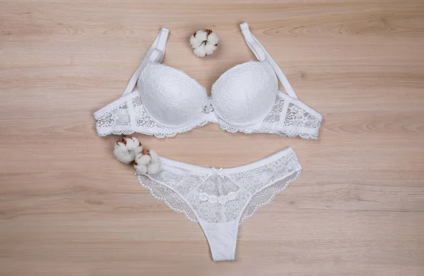 Elegant Plus Size Women`s Bras and Fluffy Cotton Flowers on Light