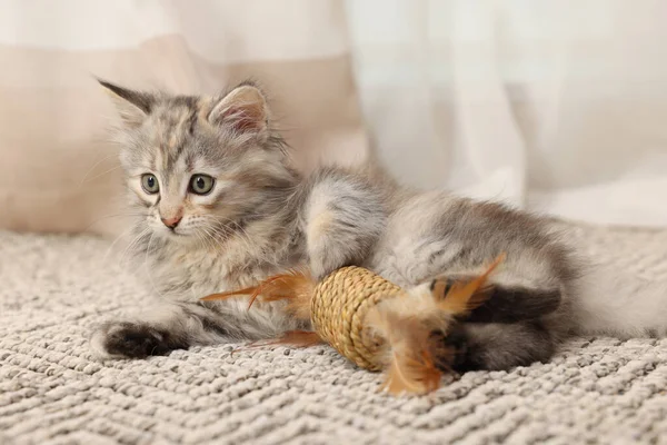 Cute Fluffy Kitten Toy Home — Stock Photo, Image