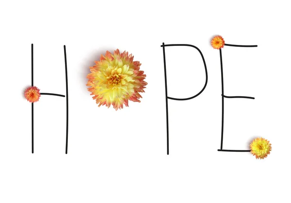Word Hope Készült Betűk Gyönyörű Dahlia Virág Fehér Alapon — Stock Fotó