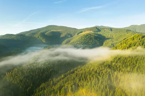 Piękny Widok Las Mglistych Górach Słoneczny Dzień Zdjęcia Dronów — Zdjęcie stockowe