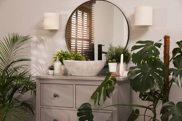 Elegante Baño Interior Con Muebles Modernos Hermosas Plantas Interior Verdes — Foto de Stock