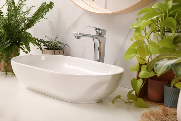 Badkamer Teller Met Wastafel Mooie Groene Kamerplanten Buurt Van Witte — Stockfoto