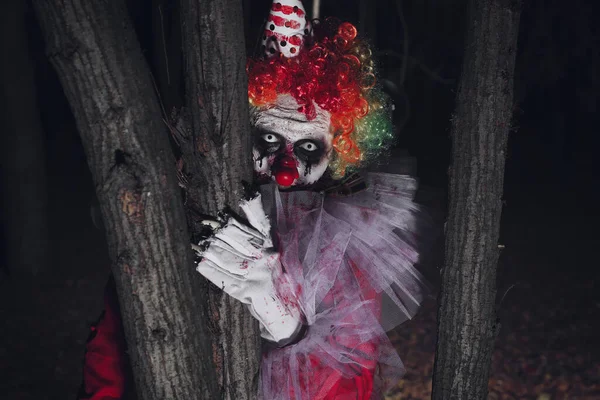 Terrifiant Clown Caché Derrière Les Arbres Extérieur Nuit Costume Fête — Photo