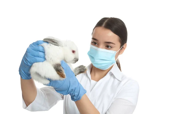 Científico Sosteniendo Conejo Sobre Fondo Blanco Concepto Ensayo Animal —  Fotos de Stock