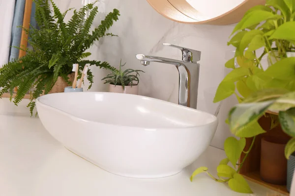 Bathroom Counter Sink Beautiful Green Houseplants Toothbrushes White Marble Wall — Stock Photo, Image