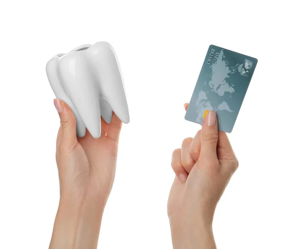 Woman Holding Ceramic Model Tooth Credit Card White Background Closeup — Stock Photo, Image