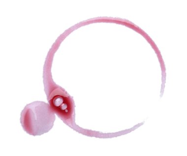 Beyaz zemin üzerinde kırmızı şarap halkası, üst görünüm