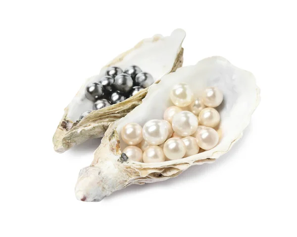 Oyster Muszle Różnymi Perłami Białym Tle — Zdjęcie stockowe