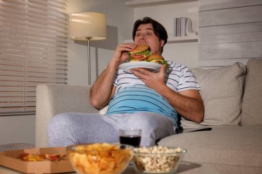 Evdeki kanepede bir tabak hamburger ve patates kızartması olan şişman bir adam.